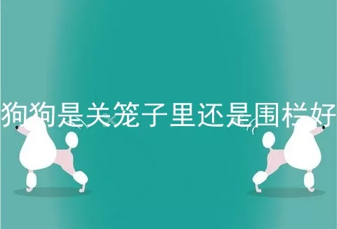 狗狗是关笼子里还是围栏好