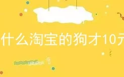 为什么淘宝的狗才10元?