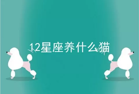 12星座养什么猫