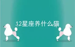 12星座养什么猫