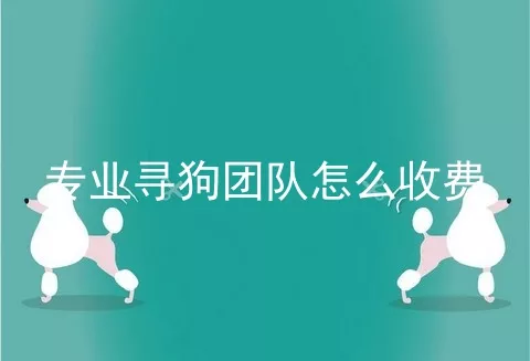 专业寻狗团队怎么收费