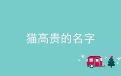 猫高贵的名字