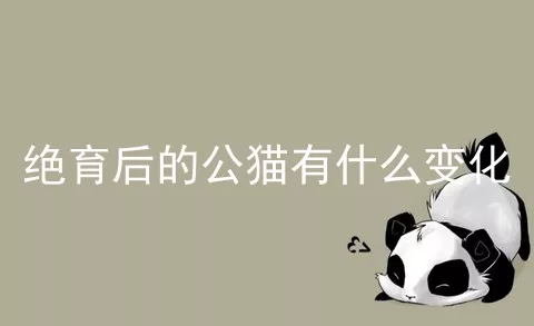 绝育后的公猫有什么变化