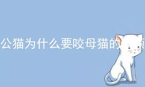 公猫为什么要咬母猫的后颈