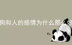 狗和人的感情为什么那么好