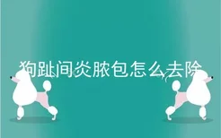 狗趾间炎脓包怎么去除