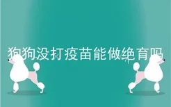 狗狗没打疫苗能做绝育吗