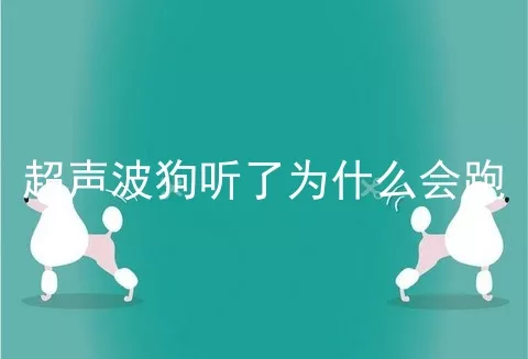 超声波狗听了为什么会跑