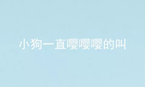 小狗一直嘤嘤嘤的叫