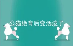 公猫绝育后变活泼了