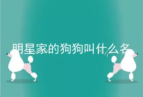 明星家的狗狗叫什么名