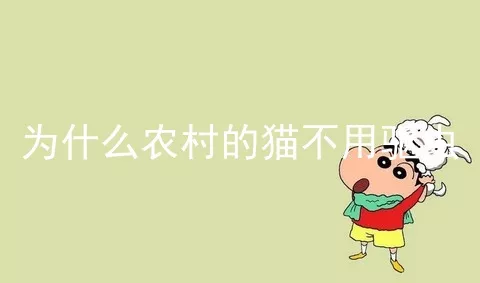 为什么农村的猫不用驱虫