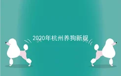 2020年杭州养狗新规