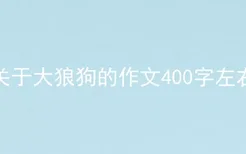 关于大狼狗的作文400字左右