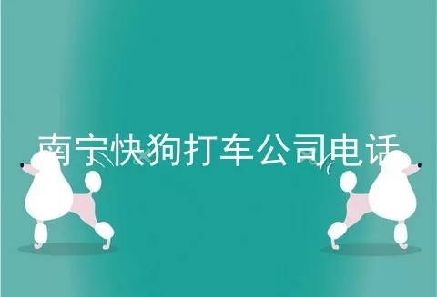 南宁快狗打车公司电话