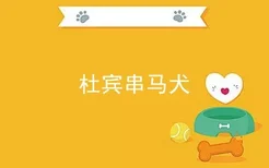 杜宾串马犬