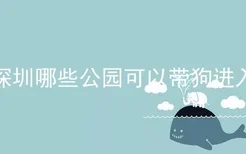 深圳哪些公园可以带狗进入