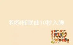 狗狗催眠曲10秒入睡