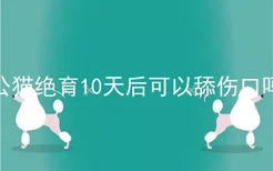 公猫绝育10天后可以舔伤口吗