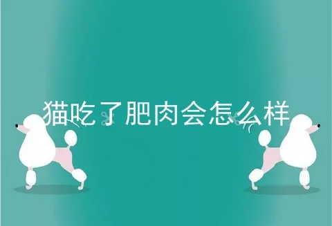 猫吃了肥肉会怎么样