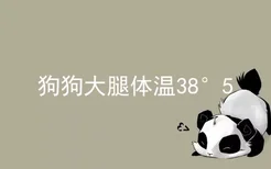 狗狗大腿体温38°5