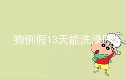 狗例假13天能洗澡吗