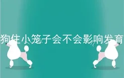 狗住小笼子会不会影响发育