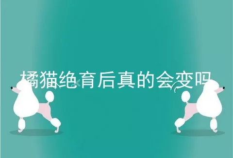 橘猫绝育后真的会变吗