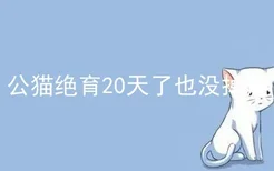 公猫绝育20天了也没掉痂