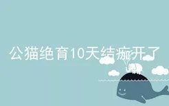 公猫绝育10天结痂开了