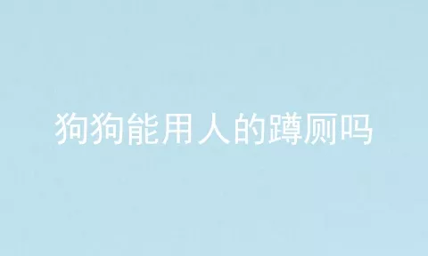 狗狗能用人的蹲厕吗