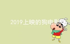 2019上映的狗电影