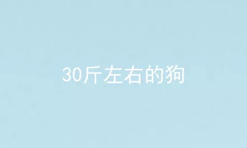 30斤左右的狗