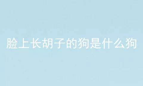 脸上长胡子的狗是什么狗