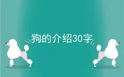 狗的介绍30字