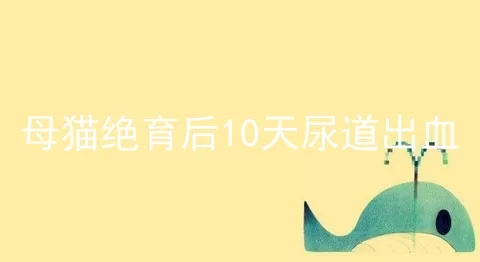 母猫绝育后10天尿道出血