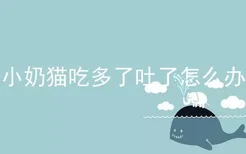 小奶猫吃多了吐了怎么办