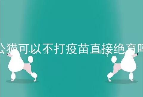 公猫可以不打疫苗直接绝育吗