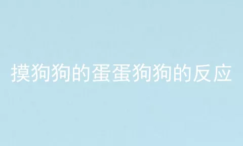 摸狗狗的蛋蛋狗狗的反应