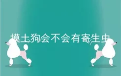 摸土狗会不会有寄生虫