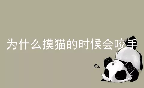 为什么摸猫的时候会咬手