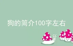 狗的简介100字左右