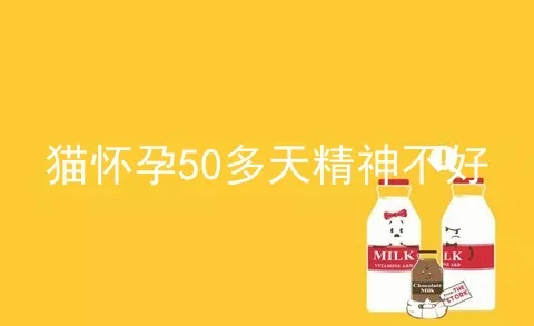 猫怀孕50多天精神不好