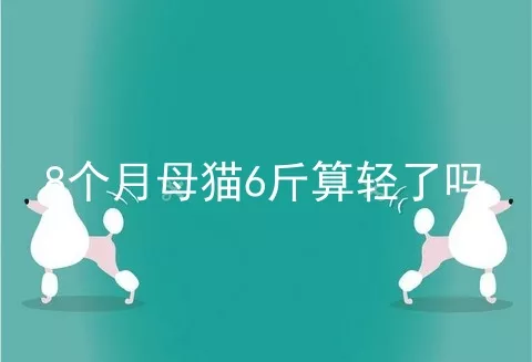 8个月母猫6斤算轻了吗