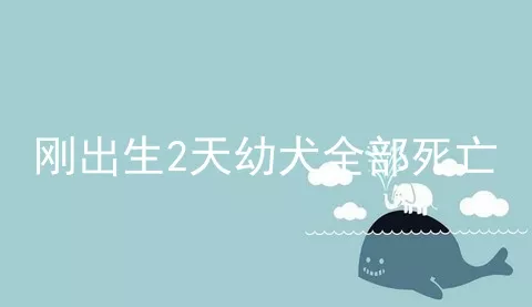 刚出生2天幼犬全部死亡