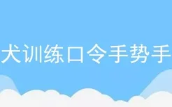 警犬训练口令手势手册