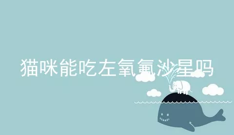 猫咪能吃左氧氟沙星吗