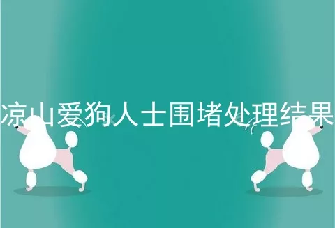 凉山爱狗人士围堵处理结果