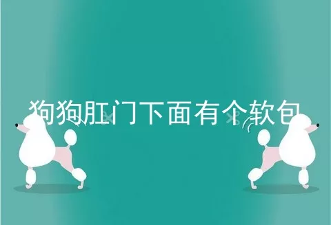 狗狗肛门下面有个软包