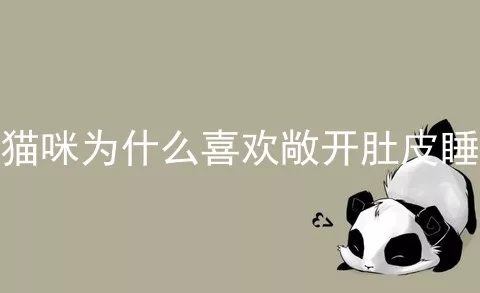 猫咪为什么喜欢敞开肚皮睡